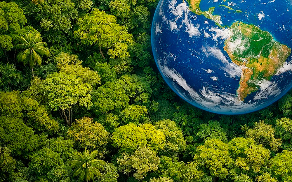 Background image for the about section